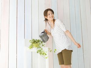 プリザーブドフラワーを贈るのなら